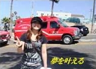 市内観光